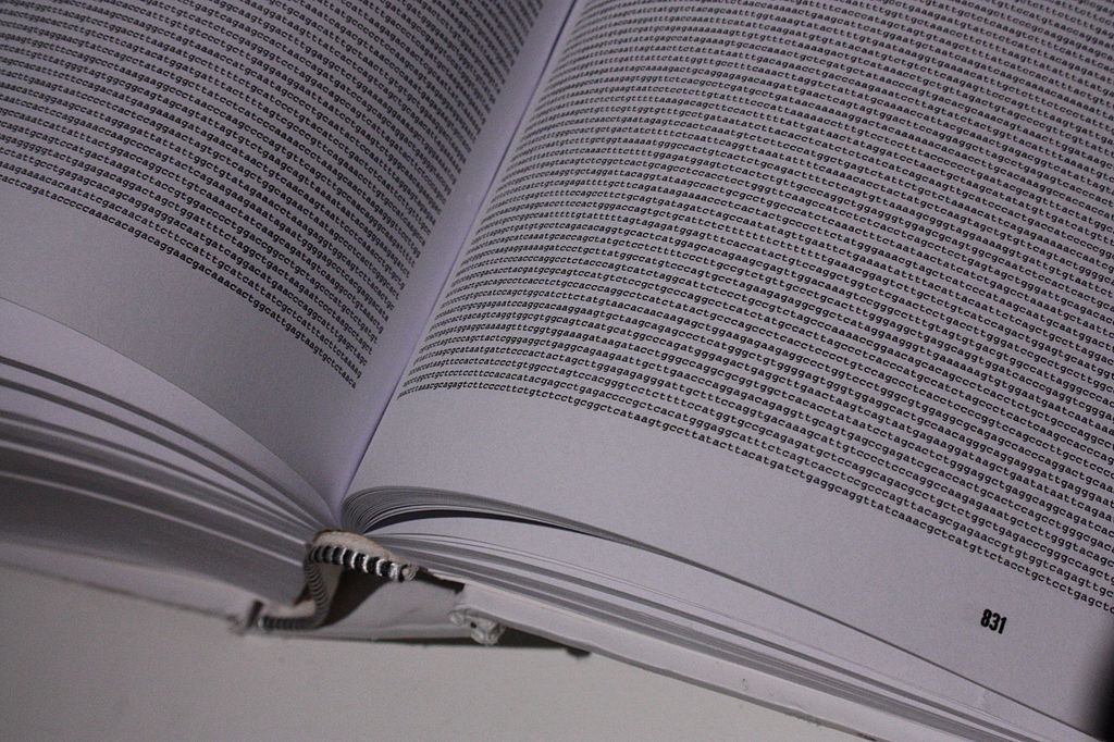 The_Genome_sequence_when_printed_fills_a_huge_book_of_close_print Ein Buch, in dem alle Buchstaben des Genoms aufgeschrieben sind, hätte 689.655 DIN A4 Seiten