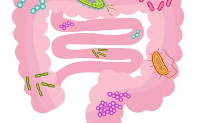 Was ist das menschliche Mikrobiom?
