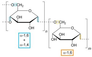 Verschiedene alpha-glucan-Verbindungen